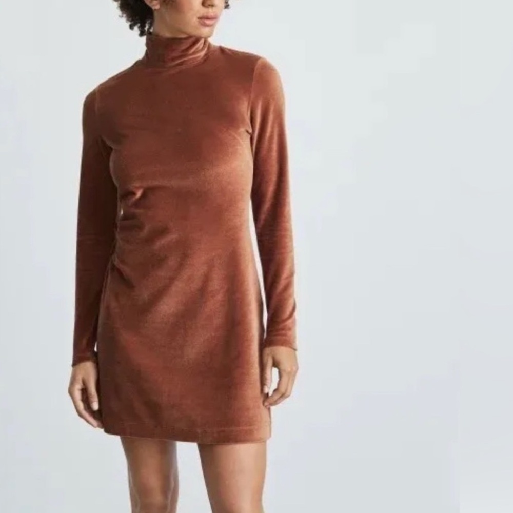 Everlane Velour Stucco Brown Mock Neck Mini